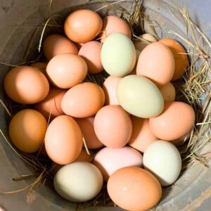 Farm Fresh Eggs